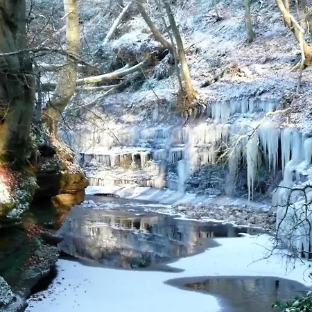 別荘 1 Bed In 94538 Scaleby