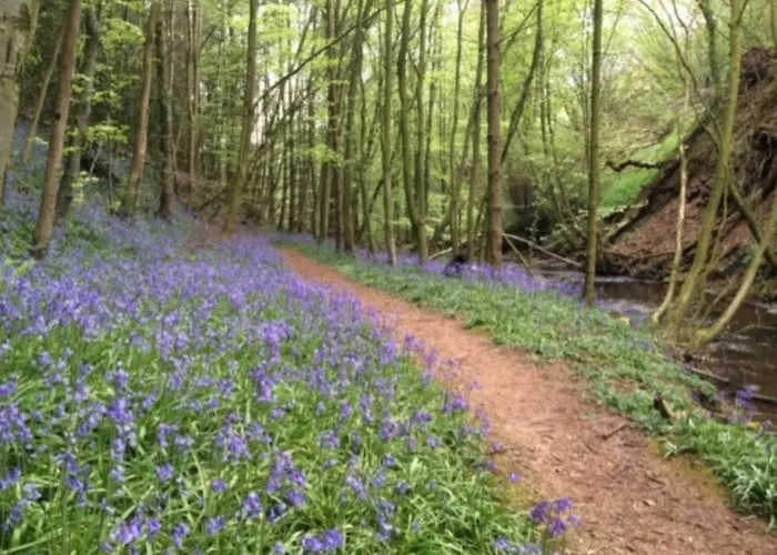 Holiday home 1 Bed In Carlisle Oc-94538